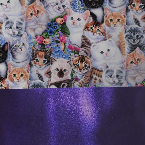 Cats Kittens Leotard