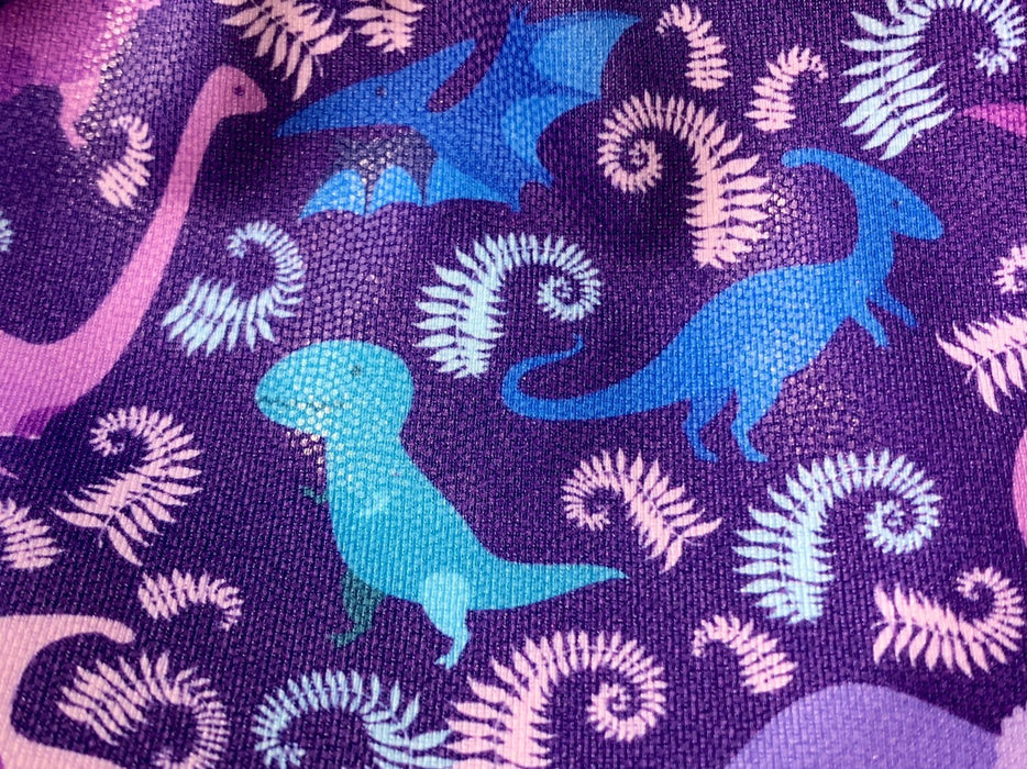Dinosaur Gymnastics Leotard Girls Toddlers Kids Teens Dance Ballet Gymnastics Gifts Custom Bodysuit  Dinosaurs Leo by AERO Leotards