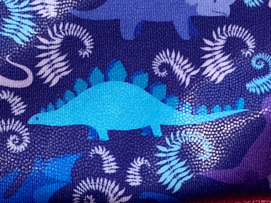 Dinosaur Gymnastics Leotard Girls Toddlers Kids Teens Dance Ballet Gymnastics Gifts Custom Bodysuit  Dinosaurs Leo by AERO Leotards