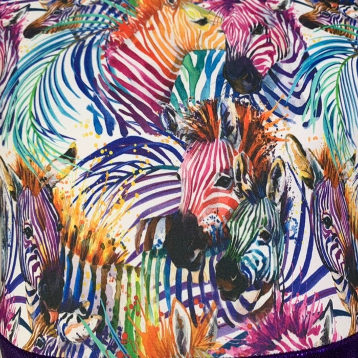 Rainbow Zebra Leotard